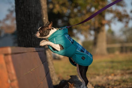 FITS Dog Coats