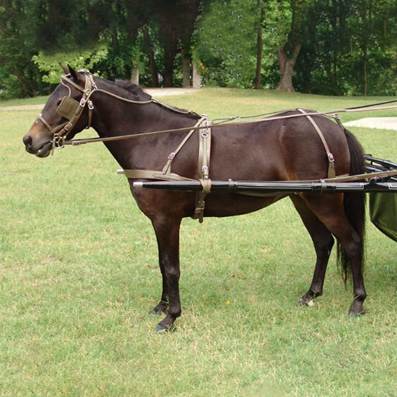 Cashel Crusader Mule Long with Ears Fly Mask Arab