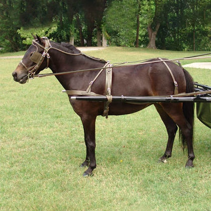 Cashel Crusader Mule Long with Ears Fly Mask Arab