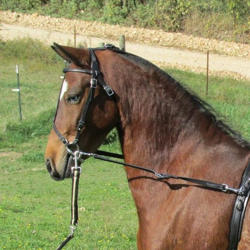 Jacks Beta Stirrup Straps - Sold in Pairs 48" Blac