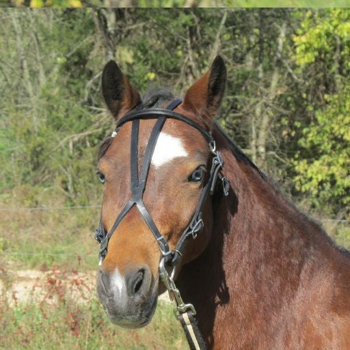 Jacks Beta Stirrup Straps - Sold in Pairs 48" Blac