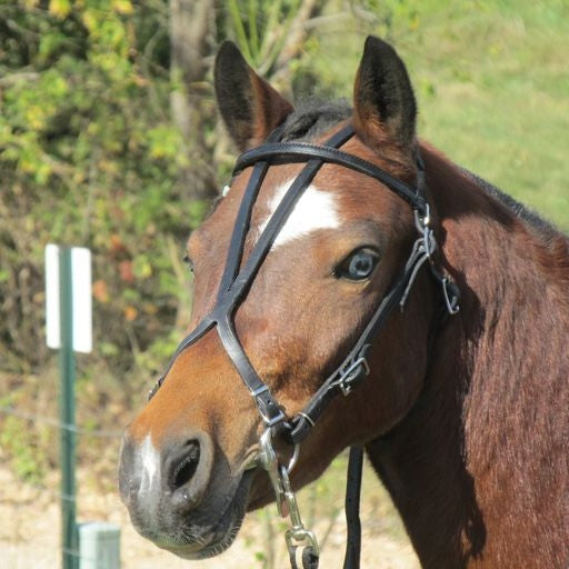 Jacks Beta Stirrup Straps - Sold in Pairs 48" Blac