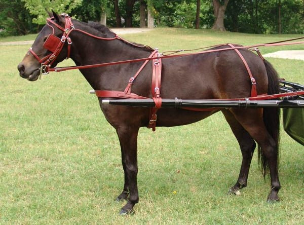Ozark Russet Leather Pleasure Harness