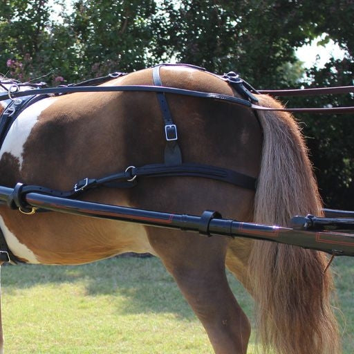 Ozark Leather Pleasure Harness