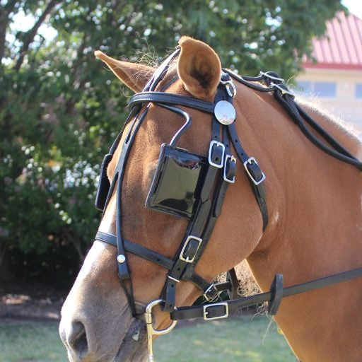 Ozark Leather Pleasure Harness