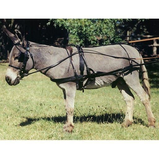 Ozark Leather Pleasure Harness
