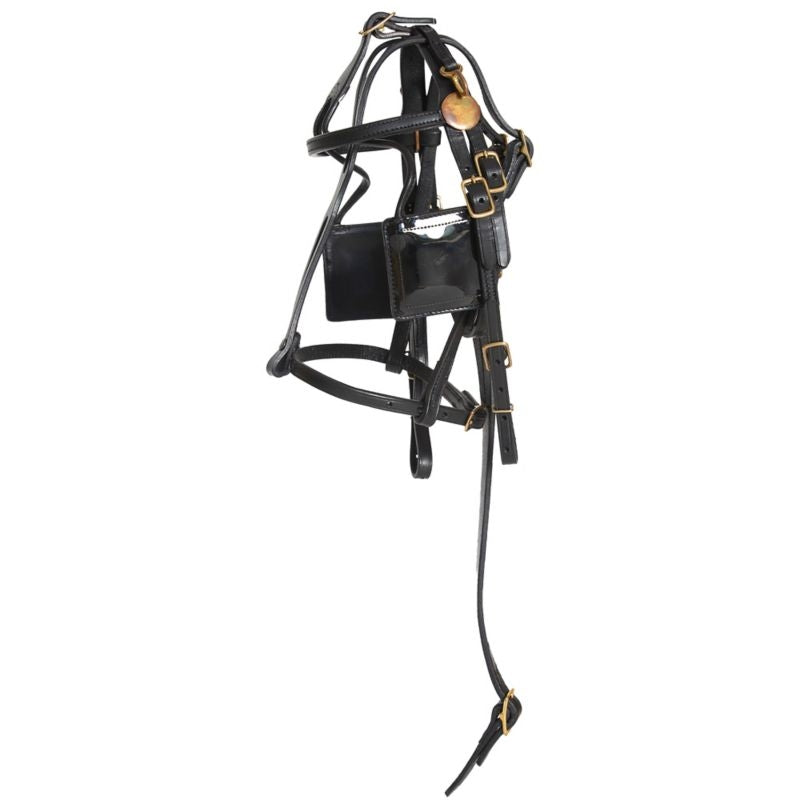 Ozark Leather Pleasure Harness