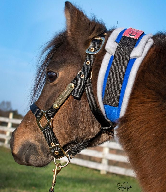 Ozark Premium Mini/Pony Throatlatch Sweat