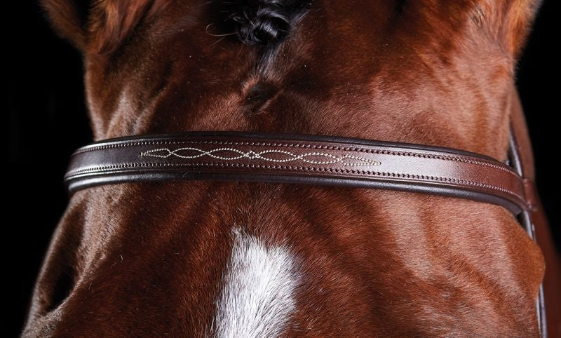 Collegiate ComFiTec Fancy Stitch Bridle