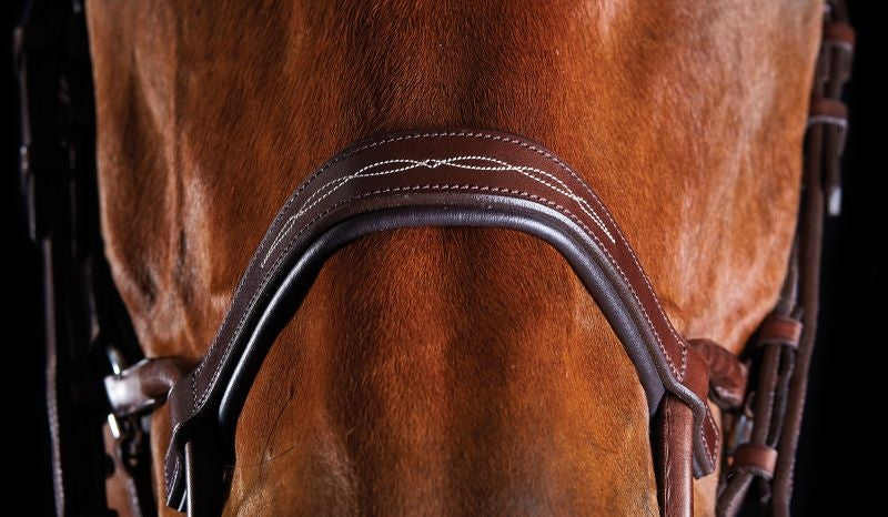 Collegiate ComFiTec Fancy Stitch Bridle