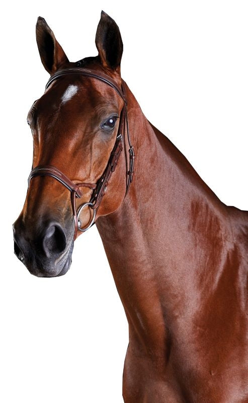 Collegiate ComFiTec Fancy Stitch Bridle