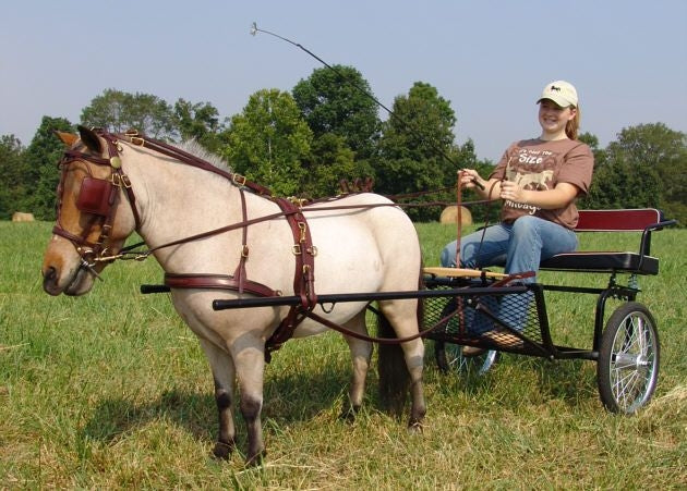 Ozark Kildow Mini/Pony Breaking Driving Harness