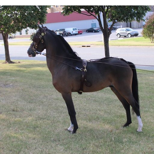 Ozark Kildow Mini/Pony Breaking Driving Harness
