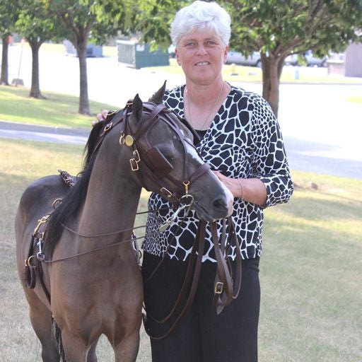 Ozark Kildow Mini/Pony Breaking Driving Harness