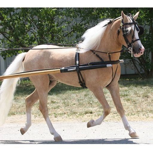 Ozark Mini Fancy Rolled Leather Harness
