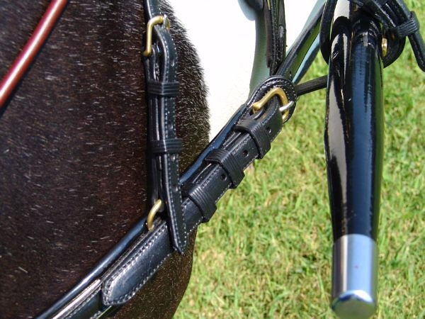 Ozark Mini Fancy Rolled Leather Harness