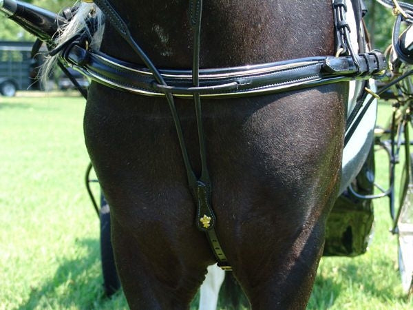 Ozark Mini Fancy Rolled Leather Harness