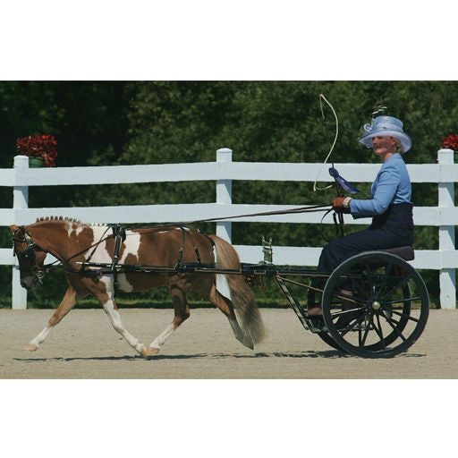 Ozark Mini Fancy Rolled Leather Harness