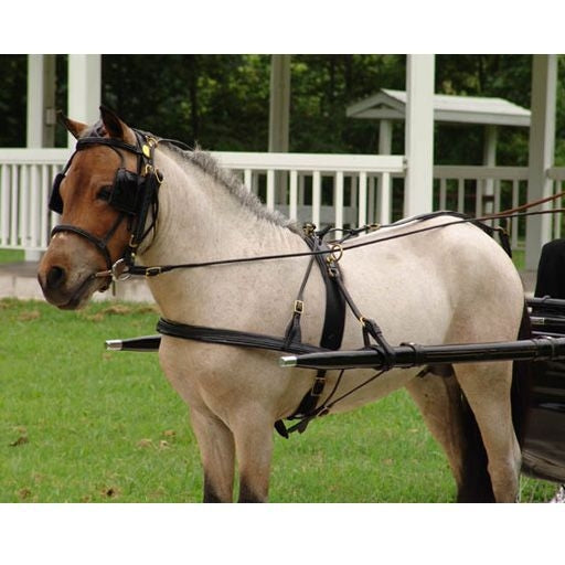 Ozark Mini/Pony Show Headstall