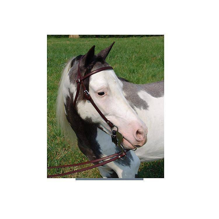 Ozark Mini Western Leather Bridle