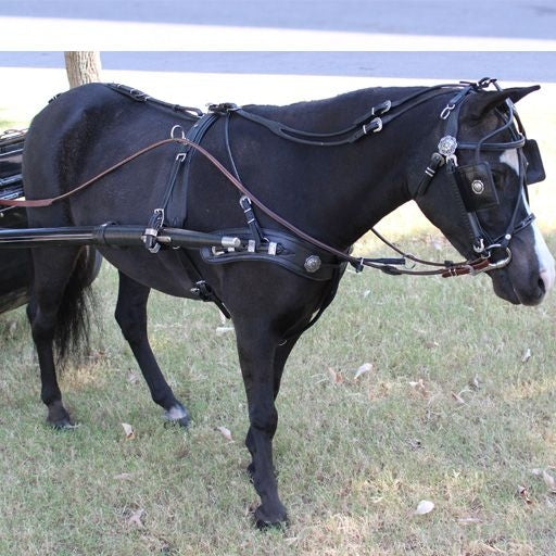 Ozark Min/Pony Western Show Harness