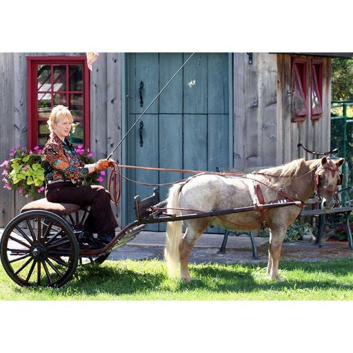 Ozark Min/Pony Western Show Harness
