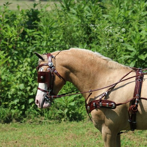 Ozark Min/Pony Western Show Harness