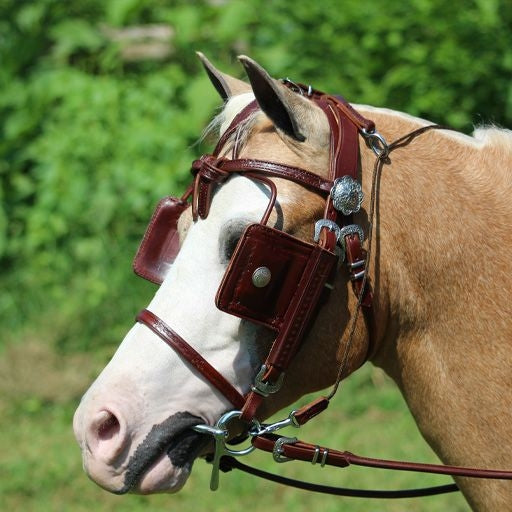 Ozark Min/Pony Western Show Harness