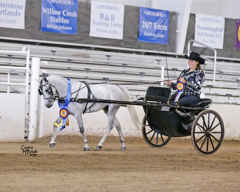 Ozark Min/Pony Western Show Harness