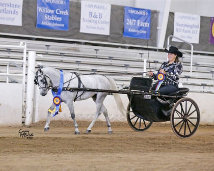 Ozark Min/Pony Western Show Harness