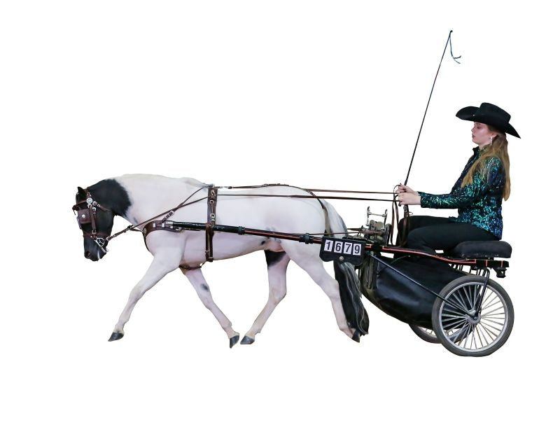 Ozark Min/Pony Western Show Harness