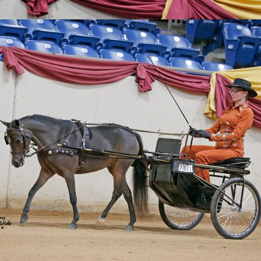 Ozark Min/Pony Western Show Harness