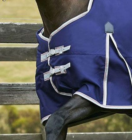 WB ComFiTec Classic Turnout Medium