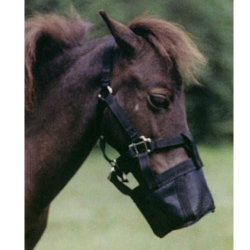 Ozark Miniature Horse Halter Square Muzzle