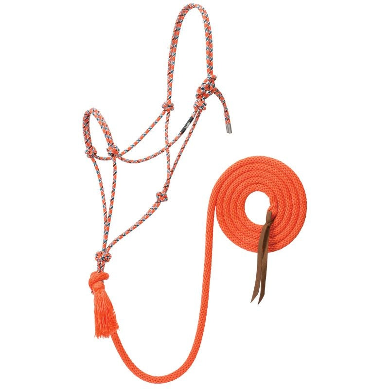 Silvertip No.95 Halter with 12ft Lead