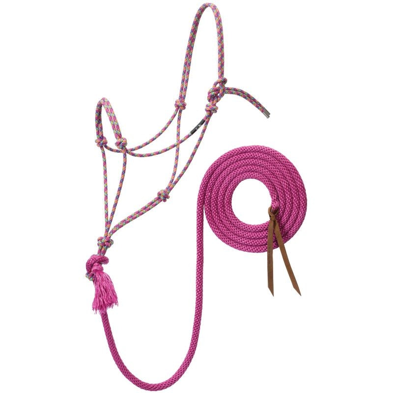 Silvertip No.95 Halter with 12ft Lead