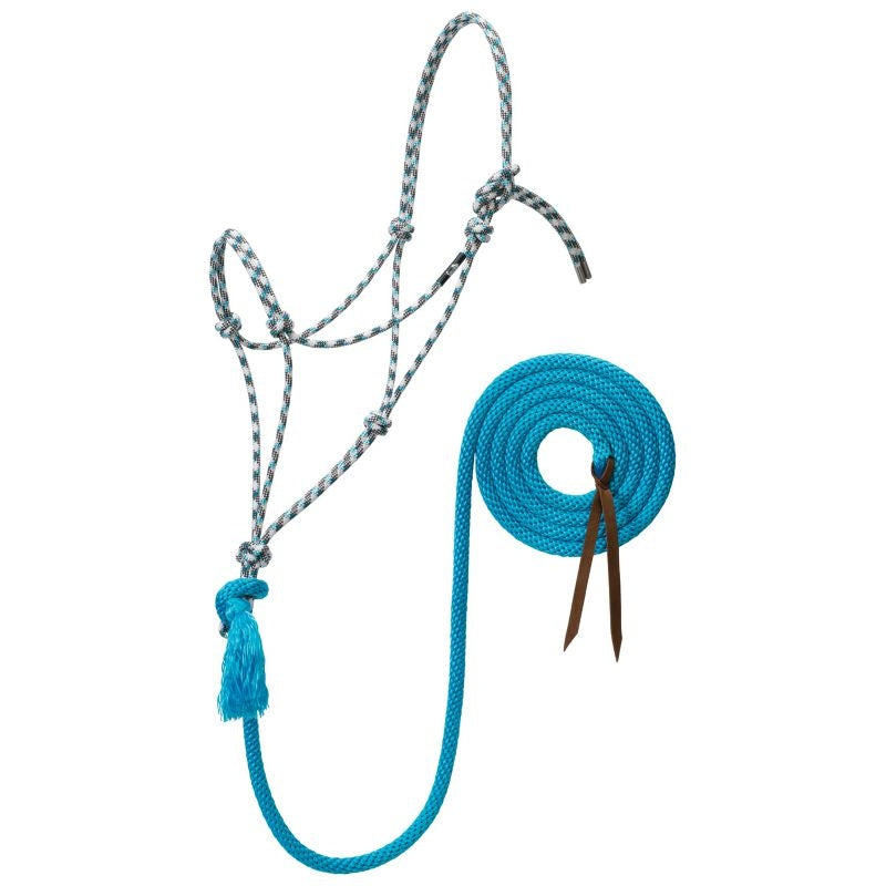 Silvertip No.95 Halter with 12ft Lead