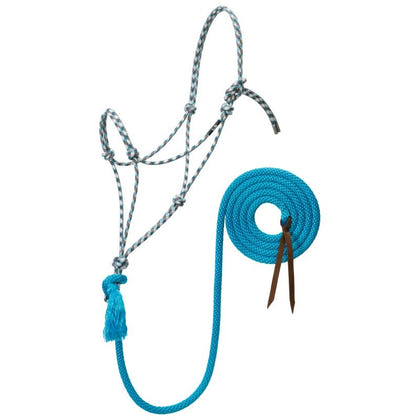 Silvertip No.95 Halter with 12ft Lead