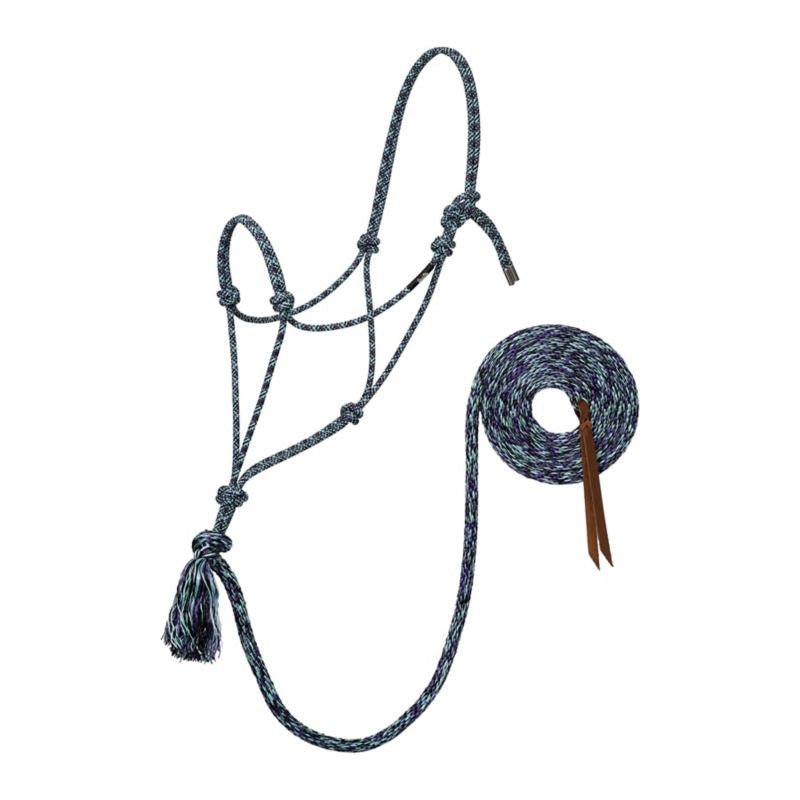 Silvertip No.95 Halter with 12ft Lead