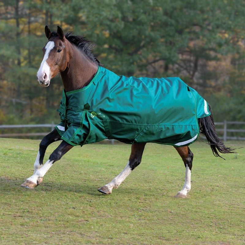 Shires StormCheeta 200G Blanket and Neck