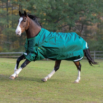 Shires StormCheeta 200G Blanket and Neck