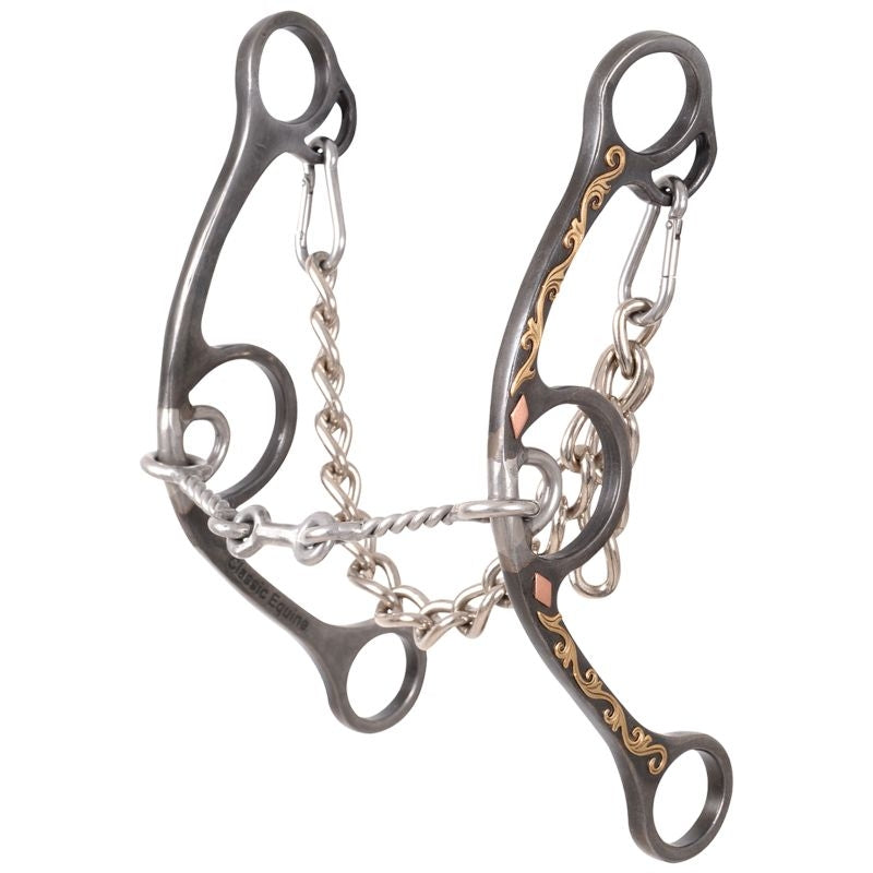 Sherry Cervi Dia Long Shank II Sml Twist Barel Bit