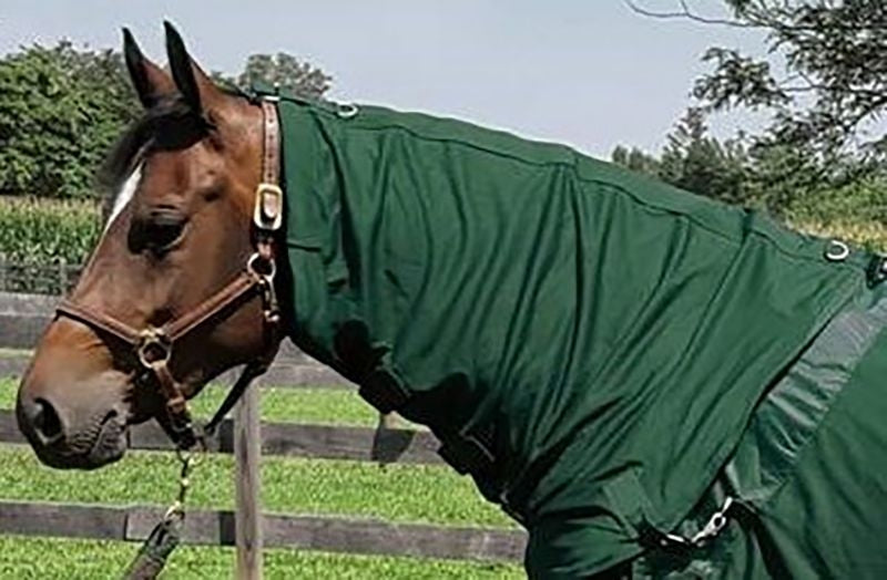 Back on Track Mesh Horse Neck Cover