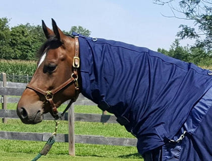 Back on Track Mesh Horse Neck Cover