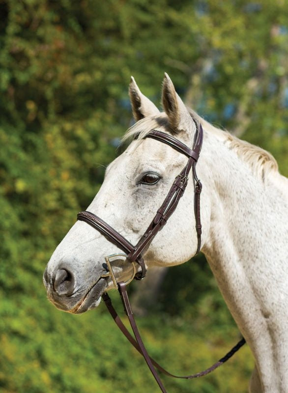 Shires Avignon Nashville Bridle