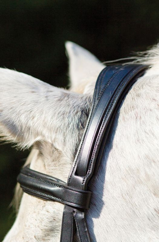 Shires Avignon Louisville Bridle