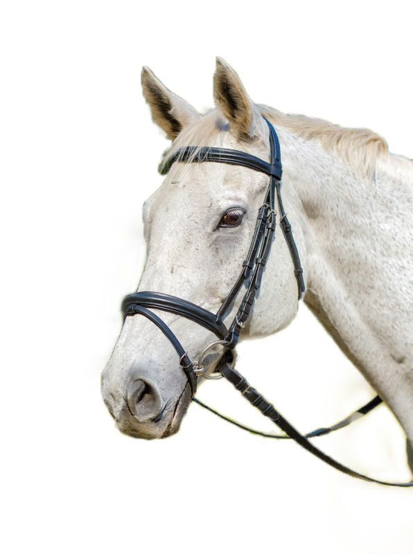 Shires Avignon Louisville Bridle