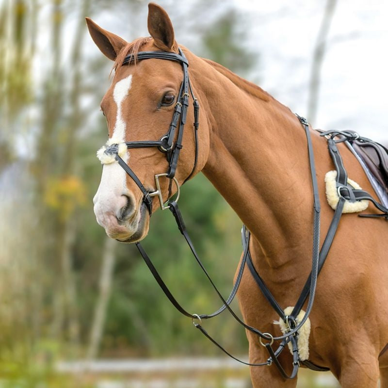 Shires Avignon Five Point Breastplate