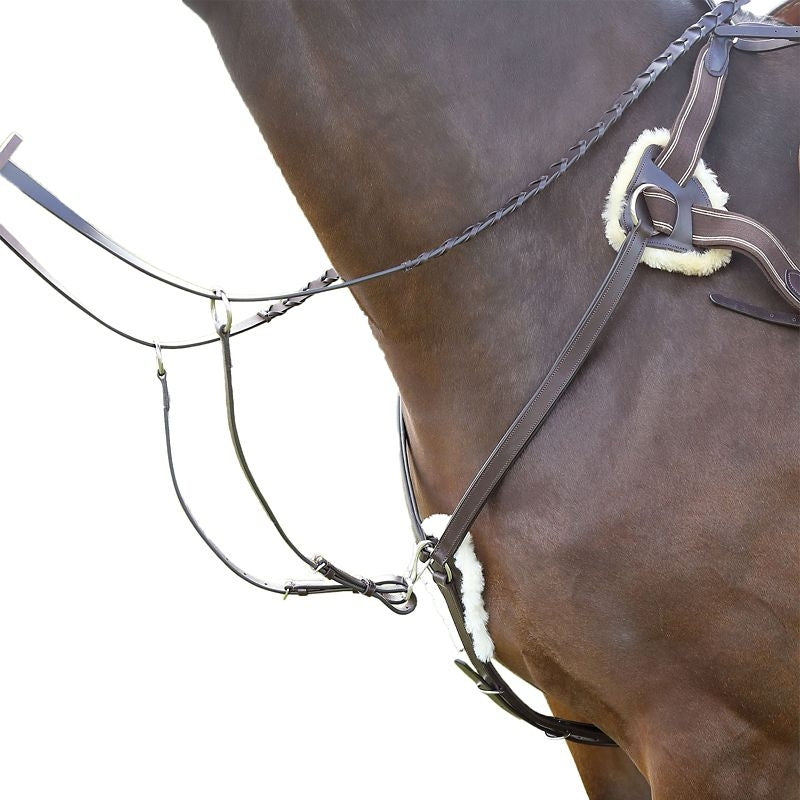 Shires Avignon Five Point Breastplate