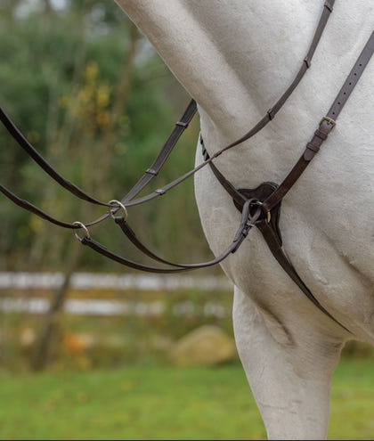Shires Avignon 3 Point Breastplate